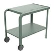 TROLLEY SS W/ SHELF EUCALYPTUS, ZIIPA