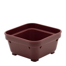 SQUARE BOWL 100mm BURGUNDY PP (19)