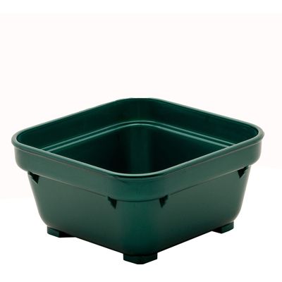 SQUARE BOWL 100MM GREEN PP (19)