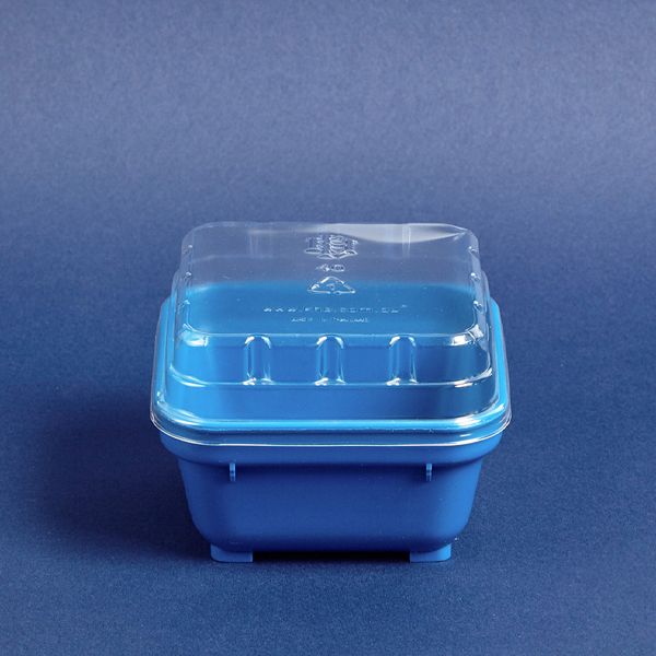 DISPOSABLE LID (#40) FOR SQUARE BOWL #19 PET 1000 CTN