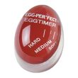 TIMER EGG PERFECT COLOUR CHANGE- BURTON