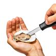 OYSTER KNIFE, OXO GOOD GRIPS