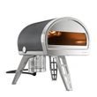 PIZZA OVEN ROCCBOX GREY GOZNEY