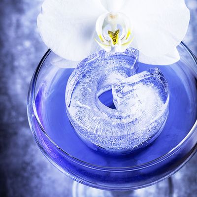 ICE MOULD LETTER G FOR GIN D/PLINKS