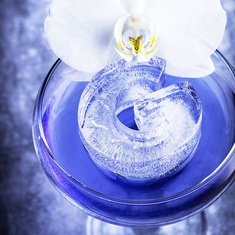 ICE MOULD LETTER G FOR GIN D/PLINKS