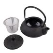 TEAPOT BLACK CAST IRON 500ML, TEAOLOGY