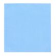 CLOTH STREAK FREE 2PK BLUE, EUROSCRUBBY