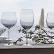 GLASS CAB/MERLOT "BUY 3 GET 4", RIEDEL VERITAS