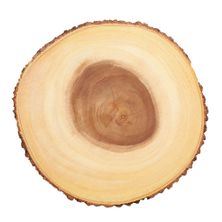 RUSTIC LARGE SERVING BOARD 35CM, ARTESA