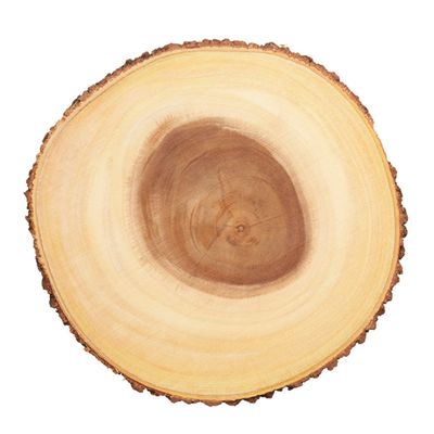 RUSTIC LARGE SERVING BOARD 35CM, ARTESA