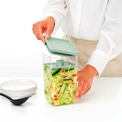 FERMENTATION KIT, BRABANTIA