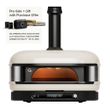 PIZZA OVEN DOME XL DUAL FUEL BONE GOZNEY