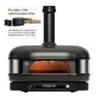PIZZA OVEN DOME XL DUAL FUEL BLACK GOZNEY
