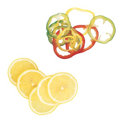 SLICER 2MM DISC, EXPERT SERIES