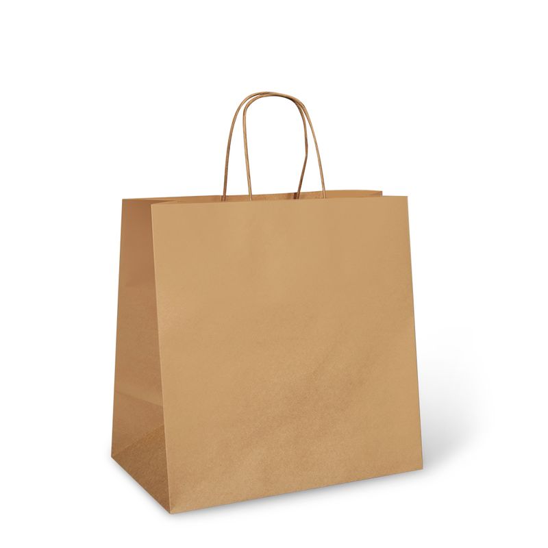 BAG TAKEAWAY LARGE 300X305X175MM 250CTN