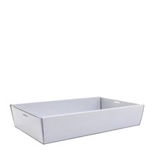 CATERING TRAY WHT LRG 560X255X80, 50CTN