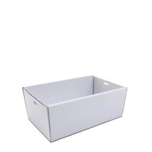 CATERING TRAY WHT SML 255X155X80, 50CTN