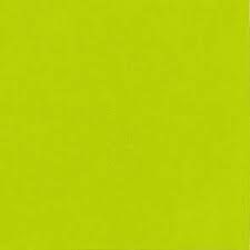 DUNILIN NAPKIN KIWI 40X40CM - 600CTN