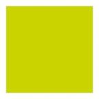 2 PLY DINNER NAPKIN KIWI -2000CTN