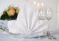 SUPERIOR LILY 48CM NAPKIN WHITE 240/CTN - 168449