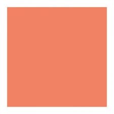 DUNILIN NAPKIN MANDARIN 40CM -600CTN