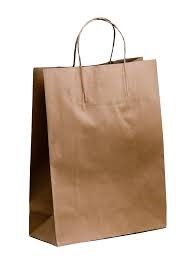 BAGS PAPER CARRY WITH HANDLES 250/CTN