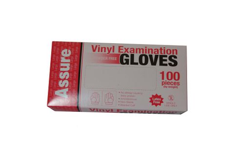 VINYL GLOVE P/FREE LARGE -PACKET