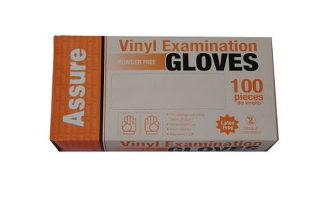 VINYL GLOVE P/FREE XLARGE -PACKET