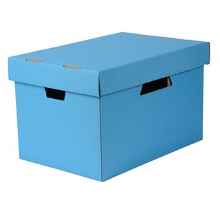 ESSELTE ARCHIVE BOX WITH LID BLUE