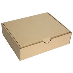 FM STORAGE CARTON KRAFT A4