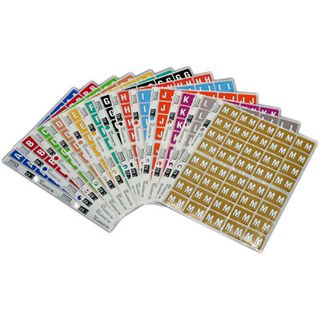 FILE-RITE C-EZI LABEL LETTER L SHEET/40