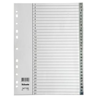 ESSELTE INDICES PP A4 1-31 GREY