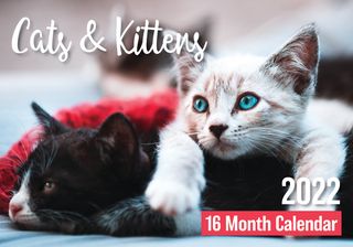 CALENDAR BISCAY CATS & KITTENS EVEN YEAR