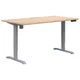 ELECTRIC DESKS & WORKSTATIONS