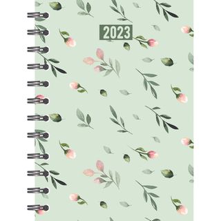 CUMBERLAND ASPEN DIARY A5 2023 ASSORTED