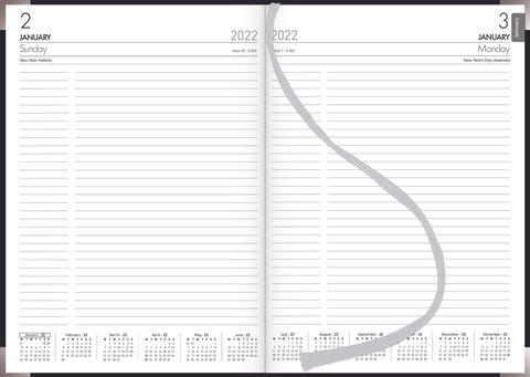 COLLINS DIARY A41E EXECUTIVE EVEN YEAR