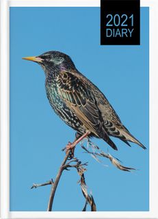COLLINS DIARY NZ BIRDS A51 ODD YEAR