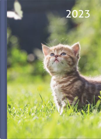 Collins Diary A53 Cats & Dogs Odd Year