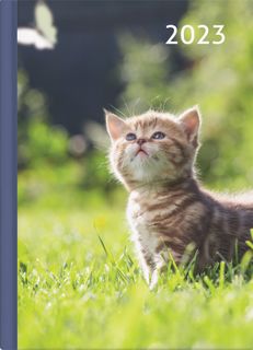 Collins Diary A53 Cats & Dogs Odd Year
