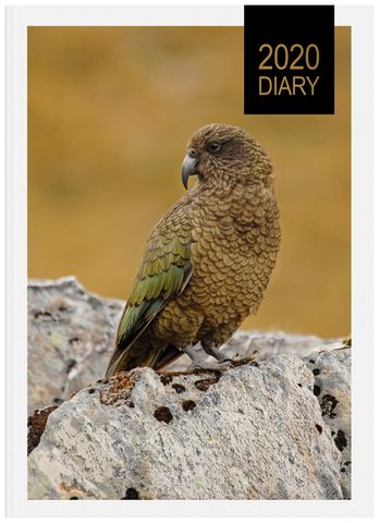 COLLINS DIARY NZ BIRDS A53 EVEN YEAR