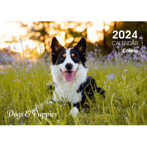 Collins Wall Calendar A4 Dogs even year