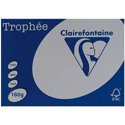 TROPHEE CARD A4 STEEL GREY 160GM PK/250.