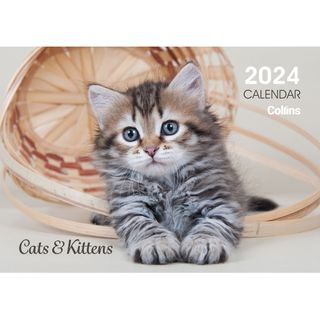 Collins Wall Calendar A4 kittens 2024