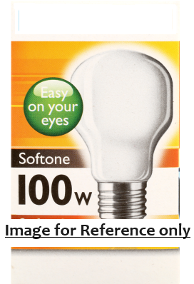 Bulb 100 Watt Screw Fit