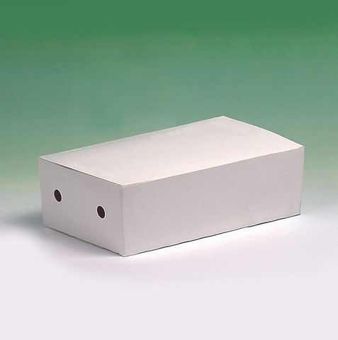 Small Snack Box White Plain carton 250
