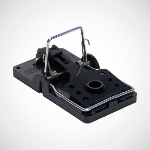 KCNSNAPCR Snap Rat Trap