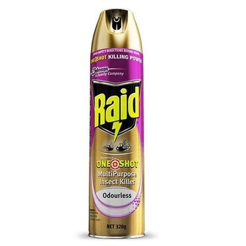 Raid Multi Purpose Insect Killer One Shot Odourless 320gm