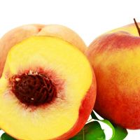 Bon Accord Peach Fruit Pulp 1L