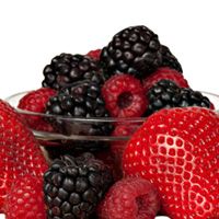 BA-BERRY Bon Accord Summer Berry Fruit Pulp 1 Ltr