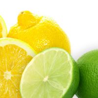 Bon Accord Lemon & Lime Fruit Pulp 1L